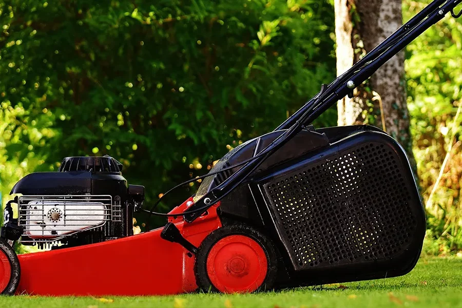 Mow Little and Often for a Healthier Lawn